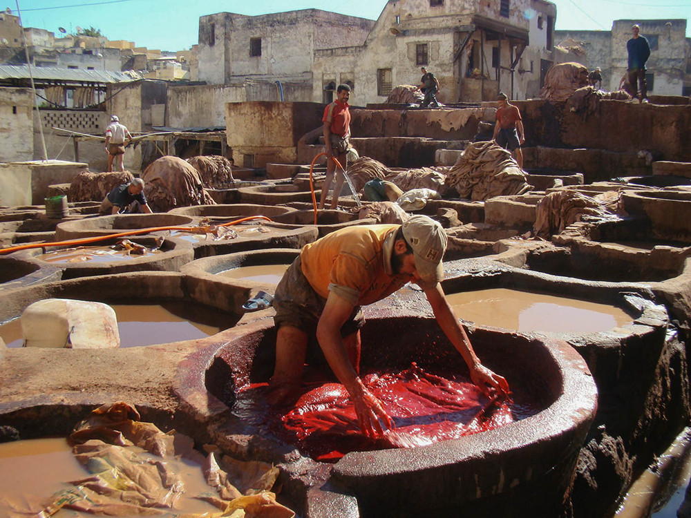 living-on-earth-fascinating-toxic-traditional-moroccan-tanneries