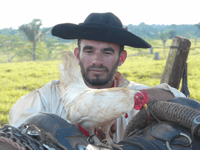 Man Chasing Chicken