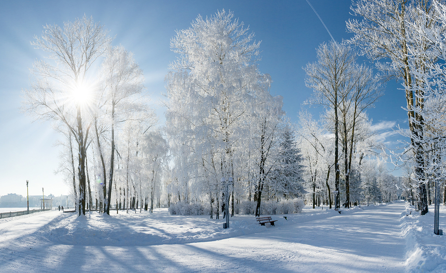 google large winter wallpaper for computers