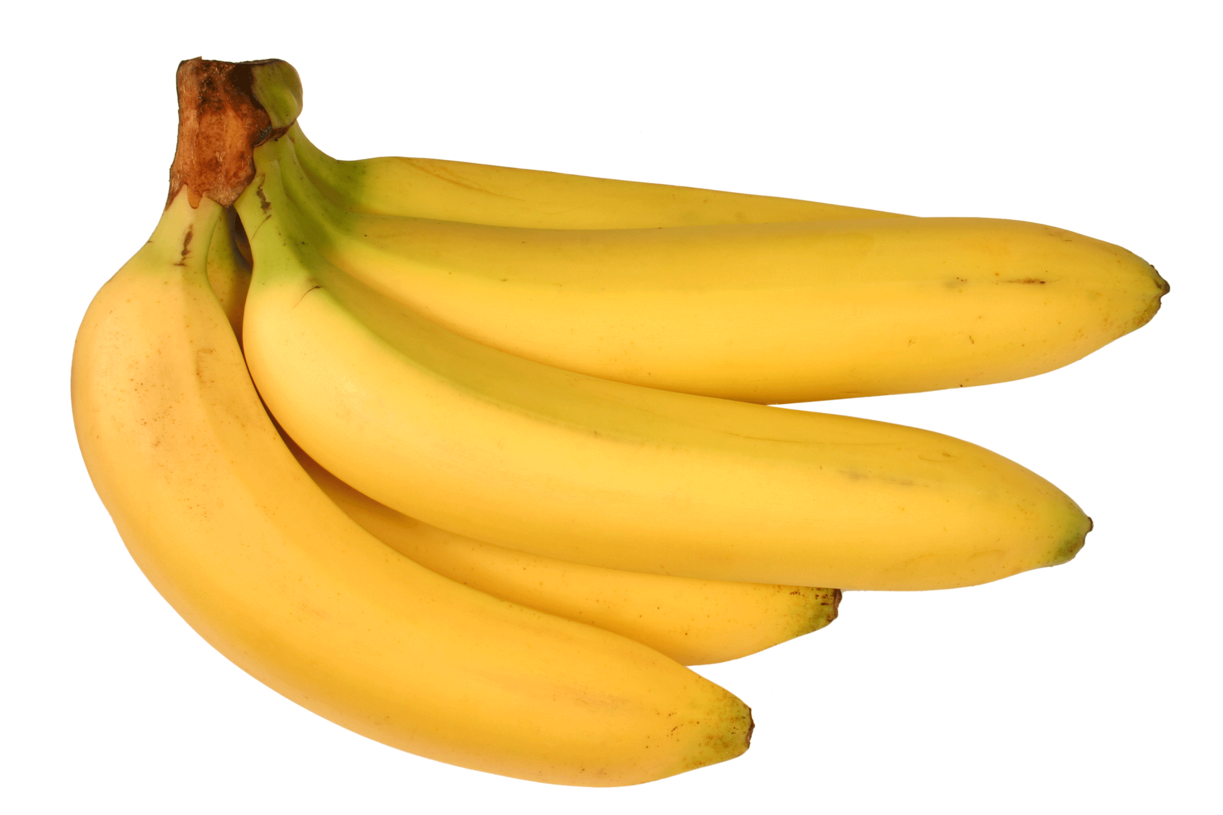 Living On Earth Top Banana