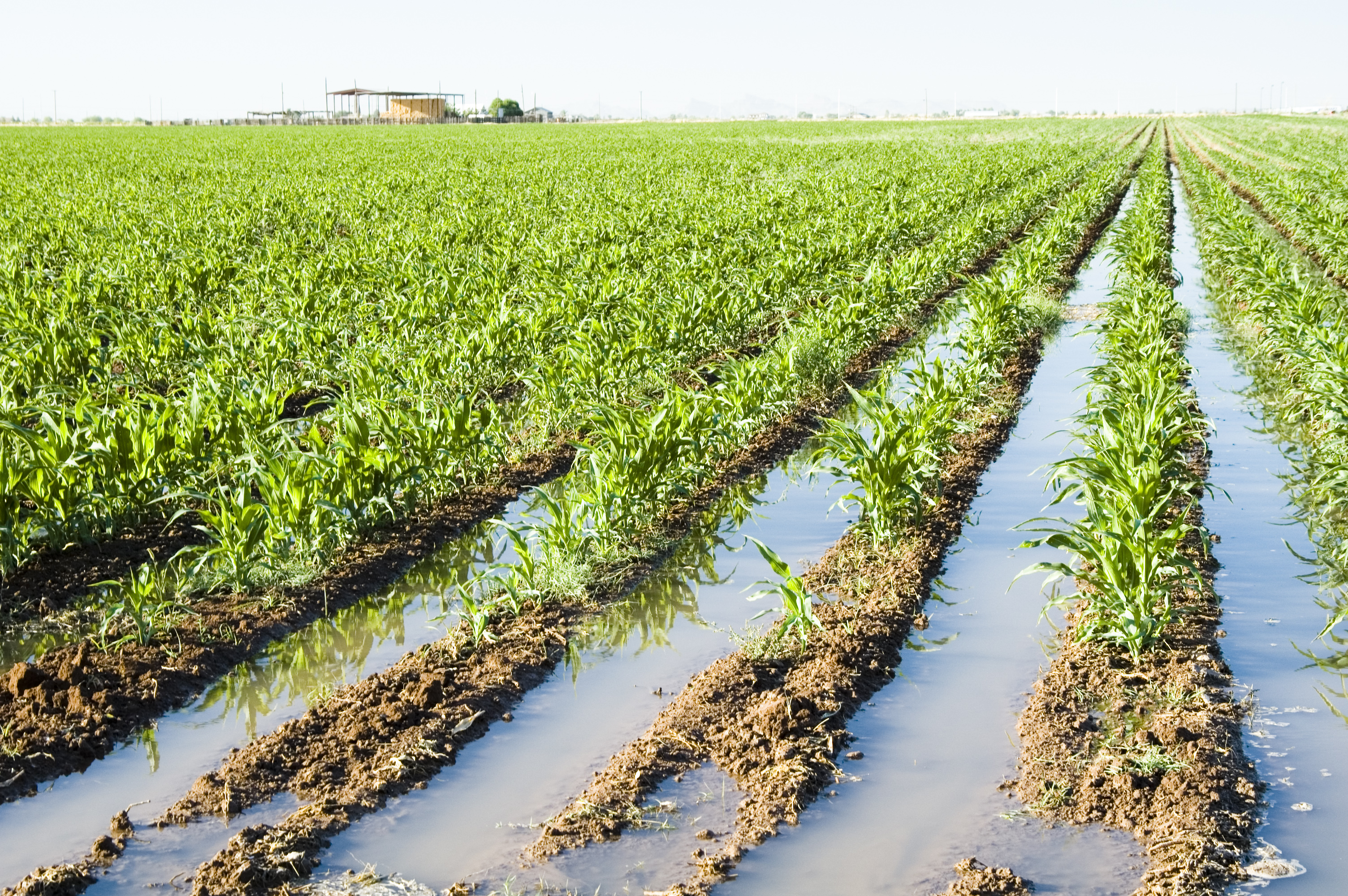 living-on-earth-to-survive-a-drought-fix-the-price-of-water