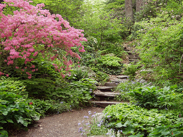 Living on Earth: Checking Up on Native Plants