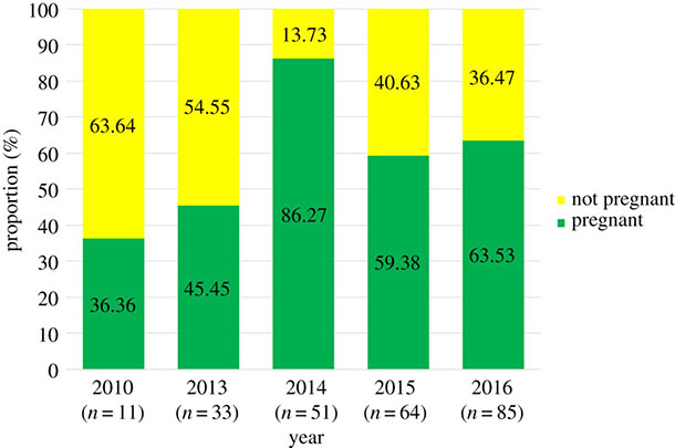 the humpback whale population graph