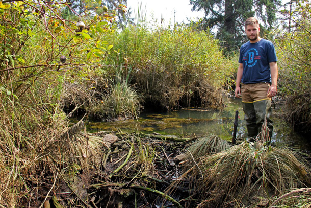 Keystone Species that Live in Ponds, Streams, & Wetlands