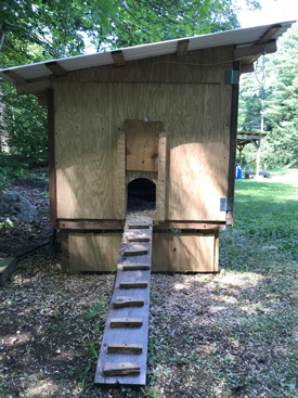 Guineafowl  South Carolina Public Radio