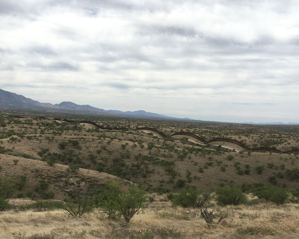 A few jaguars now roam the Arizona borderlands—why that's a big deal