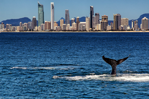 Living on Earth: Beyond the Headlines