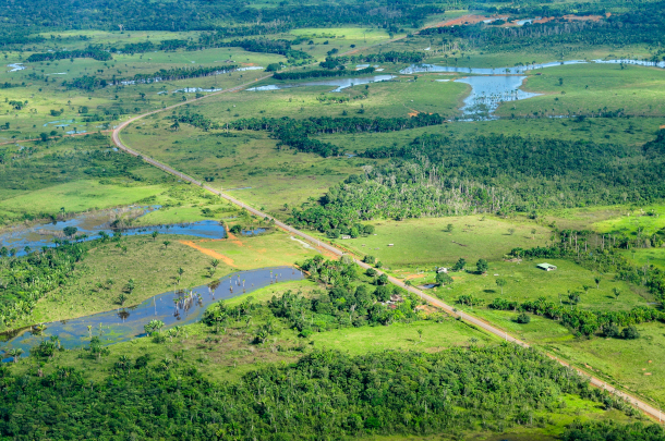 near tipping point of switching from rainforest to savannah – study, Climate crisis