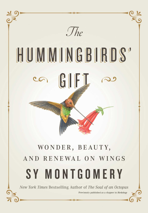 Living on Earth: The Hummingbirds' Gift