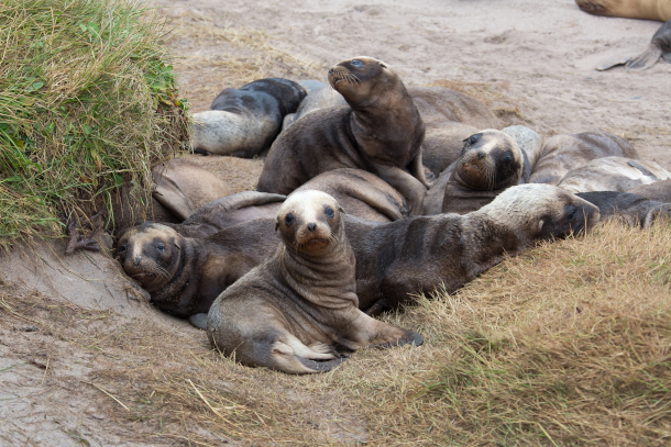 Living on Earth: Beyond the Headlines