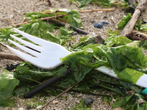 Recycling Plastic Utensils: Is It Really Helping The Planet?