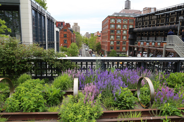 New York City Greenery Absorbing All Traffic Emissions on Many Summer Days  - Yale E360