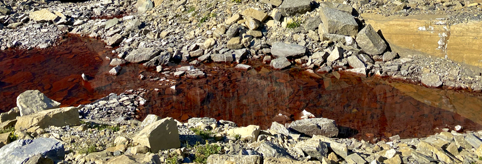 Pink snow, also known as “watermelon snow” or “glacier blood,” is the result of a typically late summer bloom of pink colored algae that flourish in melting snow. And although snow algae are still very understudied, scientists are worried that darker snow will absorb more of the sun’s heat than white snow and cause the snowpack to melt more quickly. Jim Elser, a professor of ecology at the University of Montana, explains the implications for climate change and summertime water supplies that rely on steady runoff.