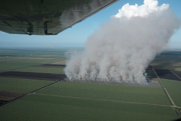 This Noise That Never Stops': Wind Farms Come to Brazil's Atlantic