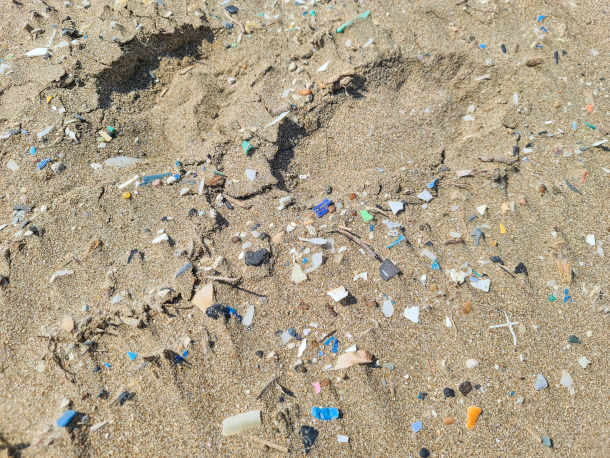 Living on Earth: Microplastics – “A Poison Like No Other”