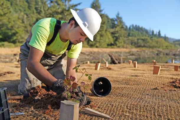 The Yurok people have been involved in restoring this area for over a decade. They plan to continue this work when the land is transferred to them in 2026. (Photo: Matt Mais, Yurok tribe)