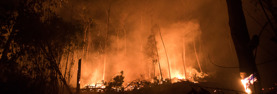 Heat, drought, and arson are fueling an explosion of fires in Brazil’s Amazon and Pantanal region, home to wetlands and grasslands. We discuss the roots of the crisis and the need for the world to act boldly on climate when Brazil hosts the UN climate talks next year.