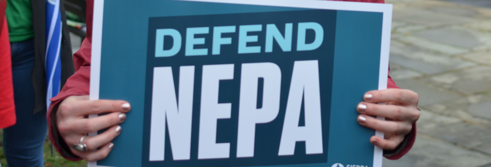 Major fossil fuel projects like LNG terminals could become harder to oppose on environmental grounds because of a Trump executive order that tries to weaken agency compliance with NEPA, the National Environmental Policy Act. And environmental concerns may take a backseat under the new project review process.