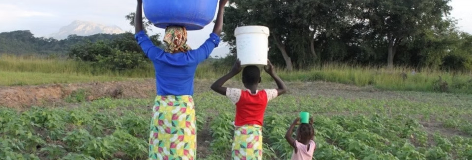 One of the development initiatives affected by the Trump Administration’s shutdown of USAID is the Soybean Innovation Lab, which works to improve soybean yields and production in Africa to help boost food supplies and farm income. Our guest discusses her work with the Soybean Innovation Lab and why helping improve farmers’ yields is so fulfilling.