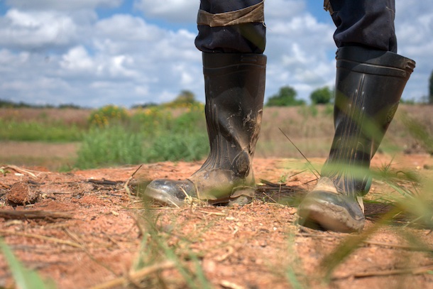 Boniface Sichalwe walks through an area where millions of liters of toxic mining waste spilled earlier. Sichalwe’s farm was completely decimated. (Photo: Katie Surma, Inside Climate News)